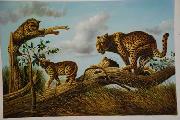 unknow artist Lions 030 USA oil painting artist
